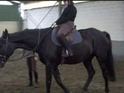 Enfin Lyli à cheval !