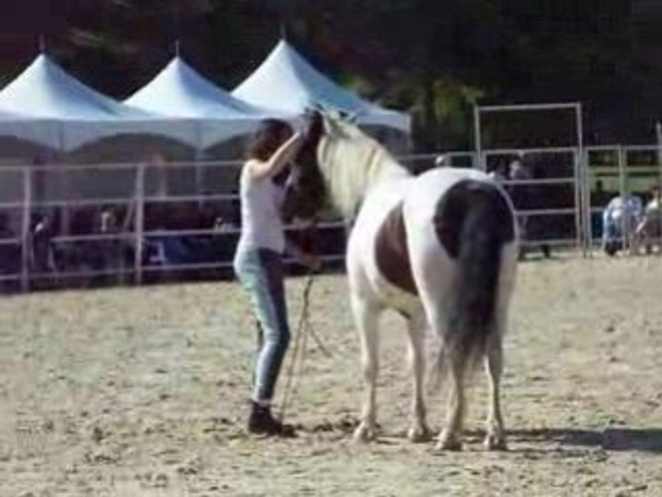 Chloé et Indy aux RDV étho 2008 3