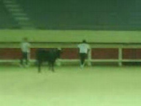 Stes Maries 10-10-08