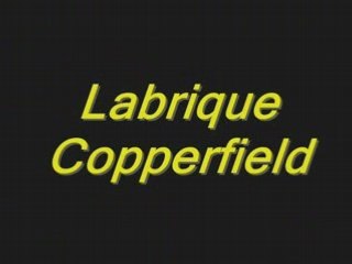Parodie : Renaud "Mistral Gagnant" , Labrique Copperfield 2
