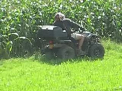Quad 450 wolverine en ballade