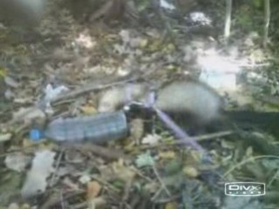 Kikoo et la bouteille