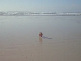 Ronaldo à la torche