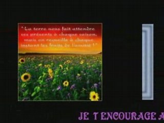 POUR MES AMIS AMIES