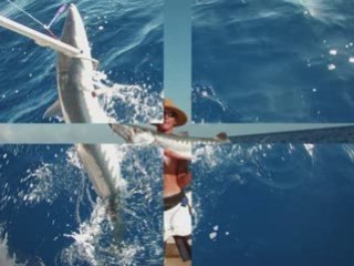 Fakarava popping & jigging trip