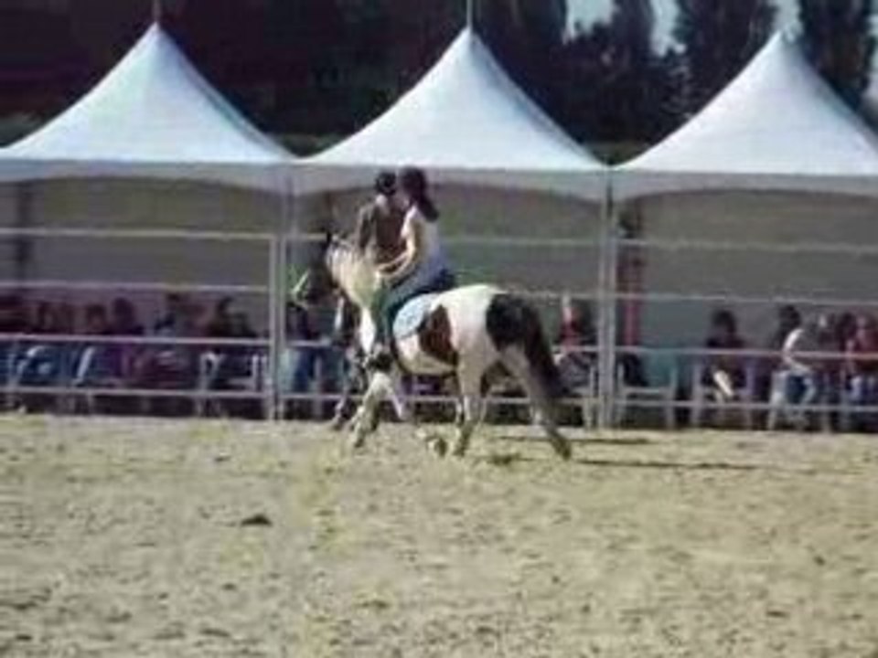 Chloé et Indy aux RDV étho 2008 6