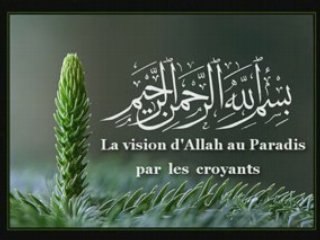 La vision d'Allah au paradis par les croyants !