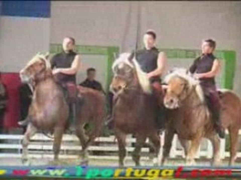 Maisons Laffitte ( 78 ) Festival Equestre 10-10-2008 - N.3