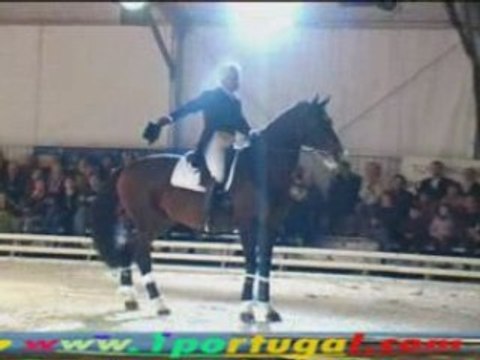 Maisons Laffitte ( 78 ) Festival Equestre 10-10-2008 - N.2