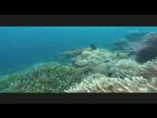 NOTRE MERE LA TERRE (PARTIE 4) STEFGAMERS