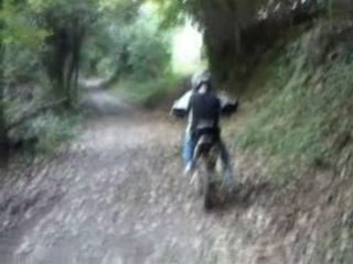 Regis fait de la dirt