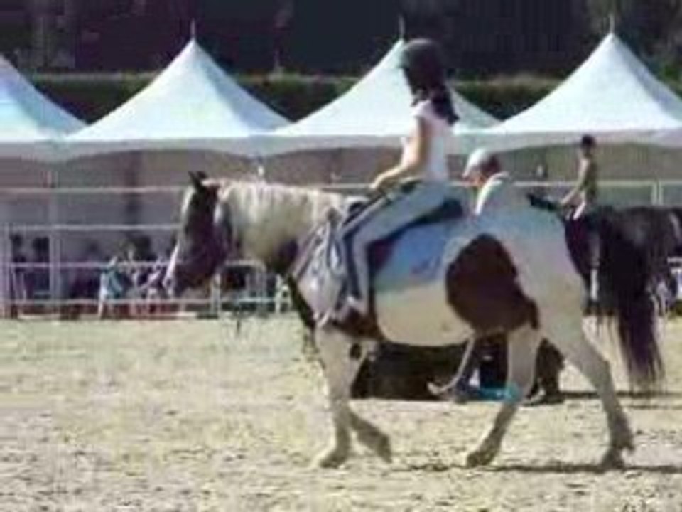 Chloé et Indy aux RDV étho 2008 5