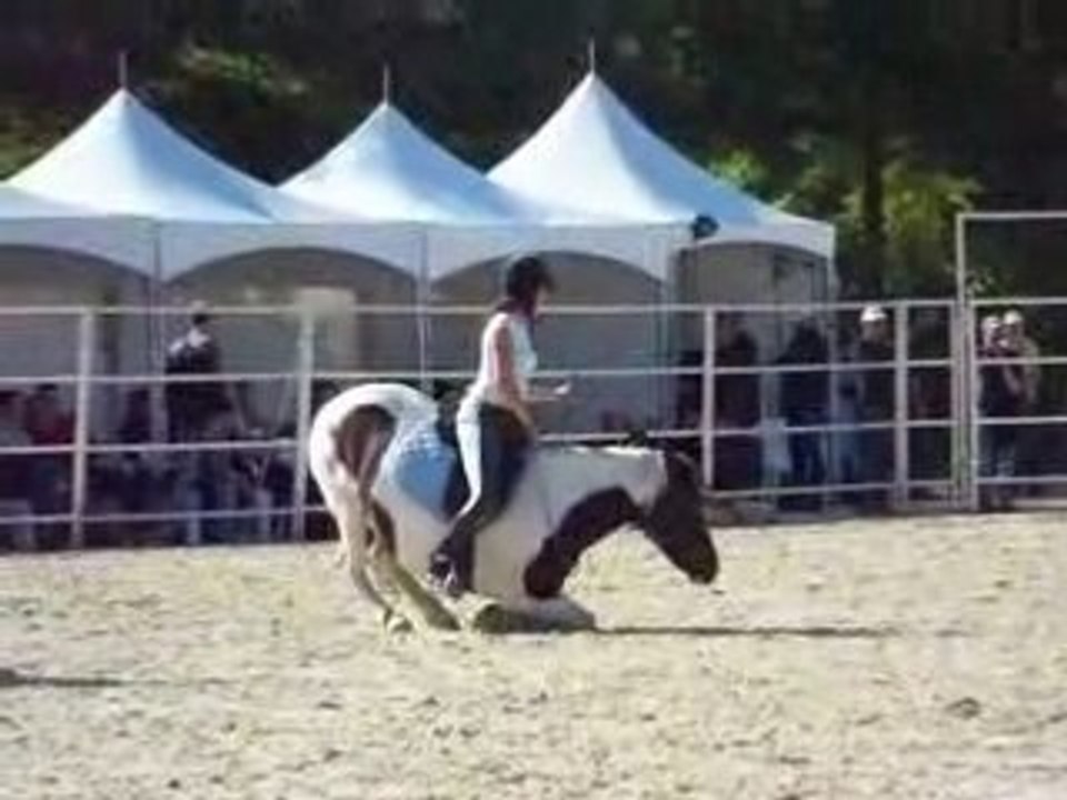 Chloé et Indy aux RDV étho 2008 7