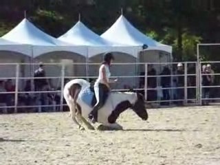 Chloé et Indy aux RDV étho 2008 7