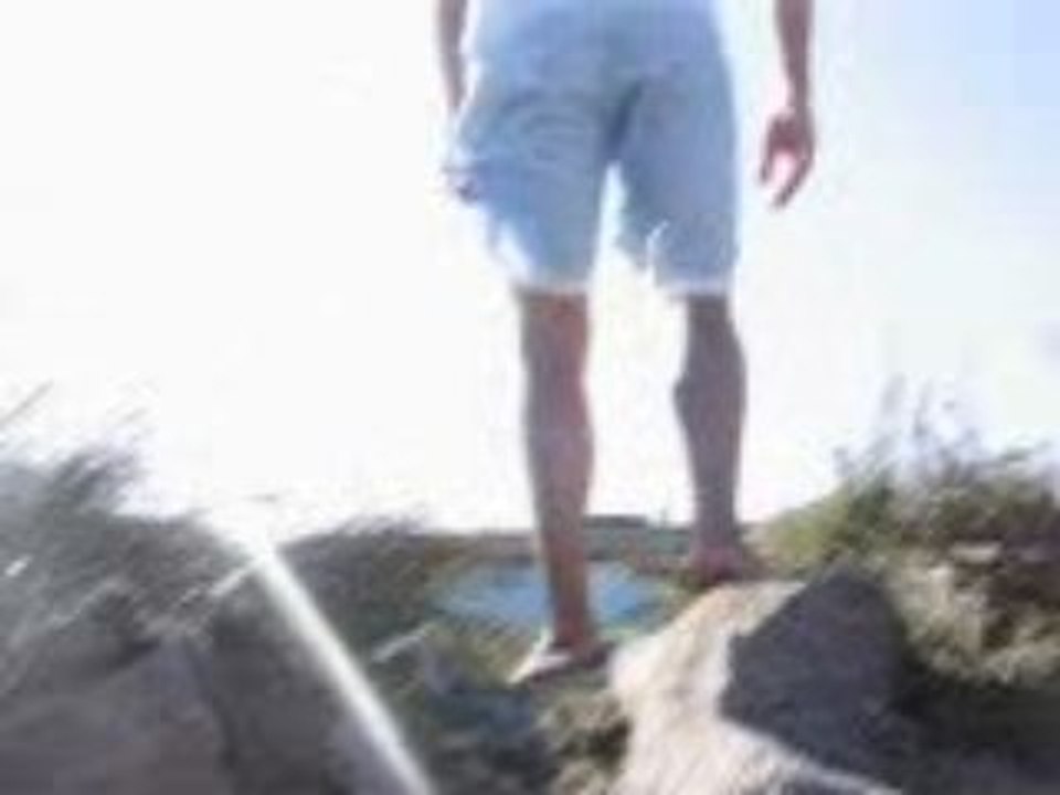 tenygecofrero attention chien méchant