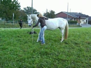 Campo salut de la reine et révérence