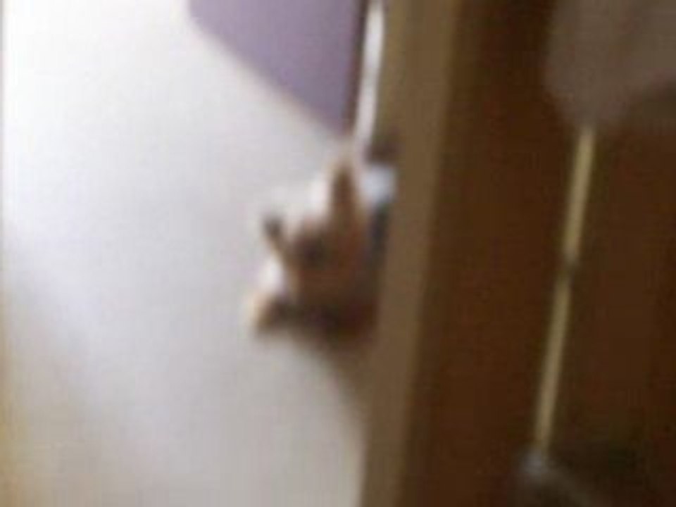 DosSier internatiOnale xD