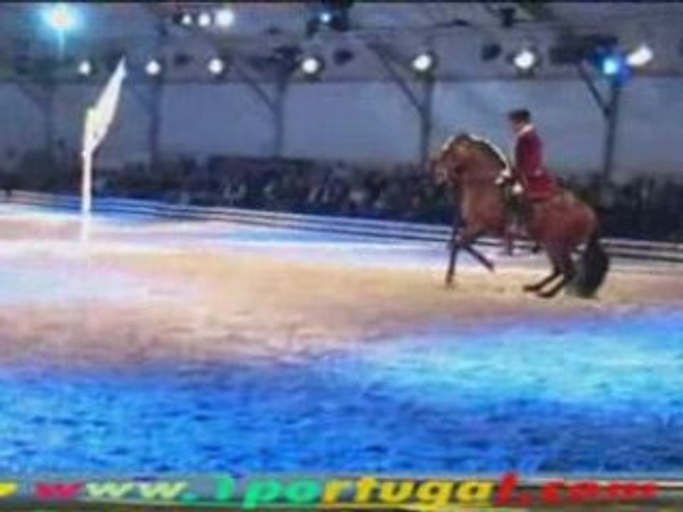 Maisons Laffitte ( 78 ) Festival Equestre 10-10-2008 - N.10