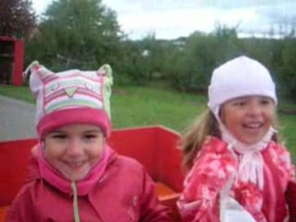 08-10-04 aux pommes