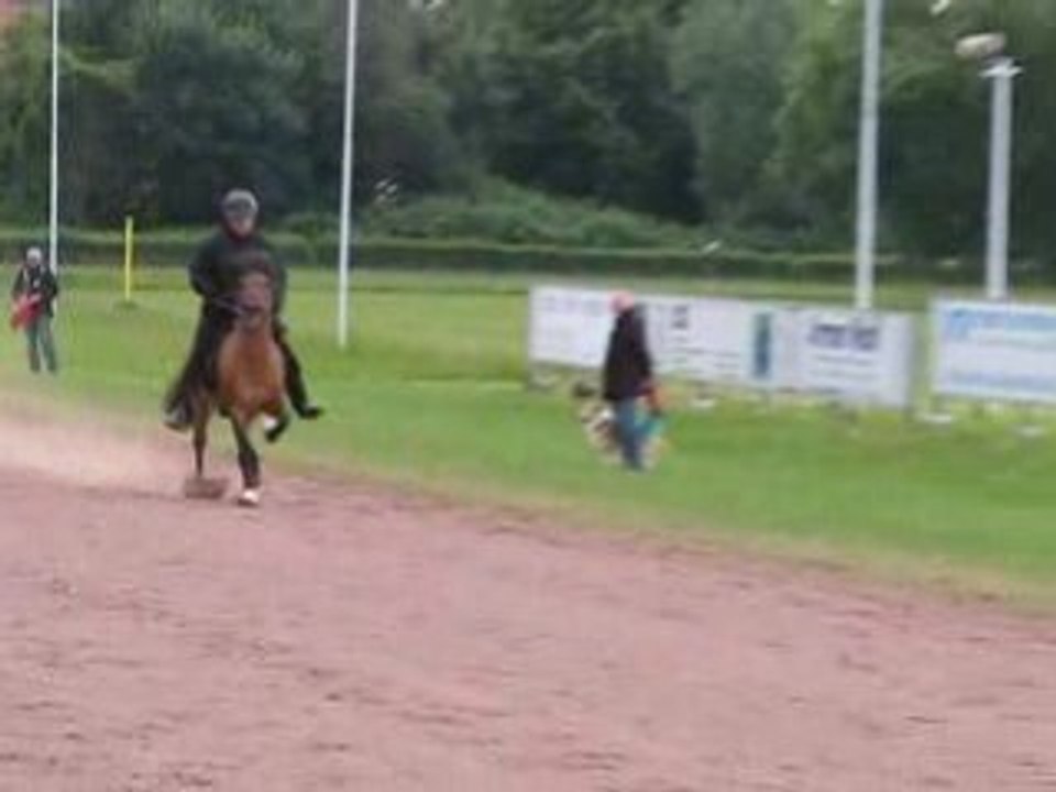 Concours d'allures a Alsting - l'amble