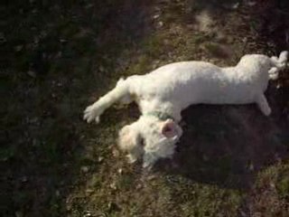 mon alix adorée en plein délire