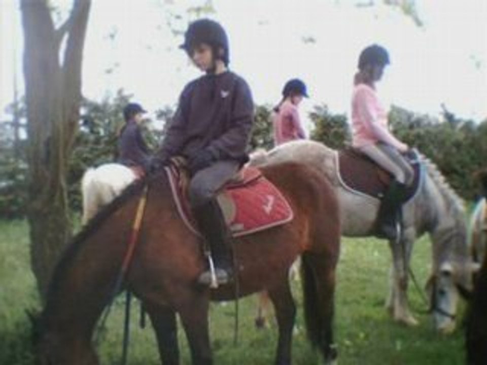 Moi and elles