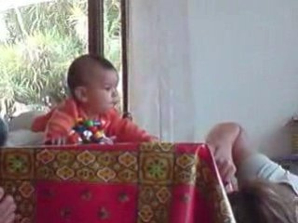 MOV00240vac corse