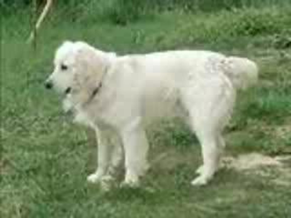 ulysse1