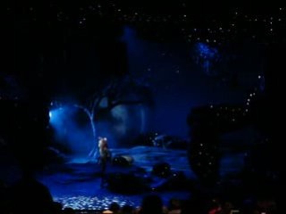 The lion King 2008 Disneyland Paris