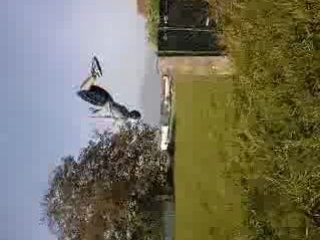 Vincent  back 1