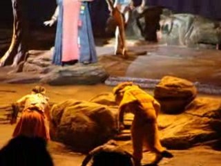 The lion King 2008 Disneyland Paris