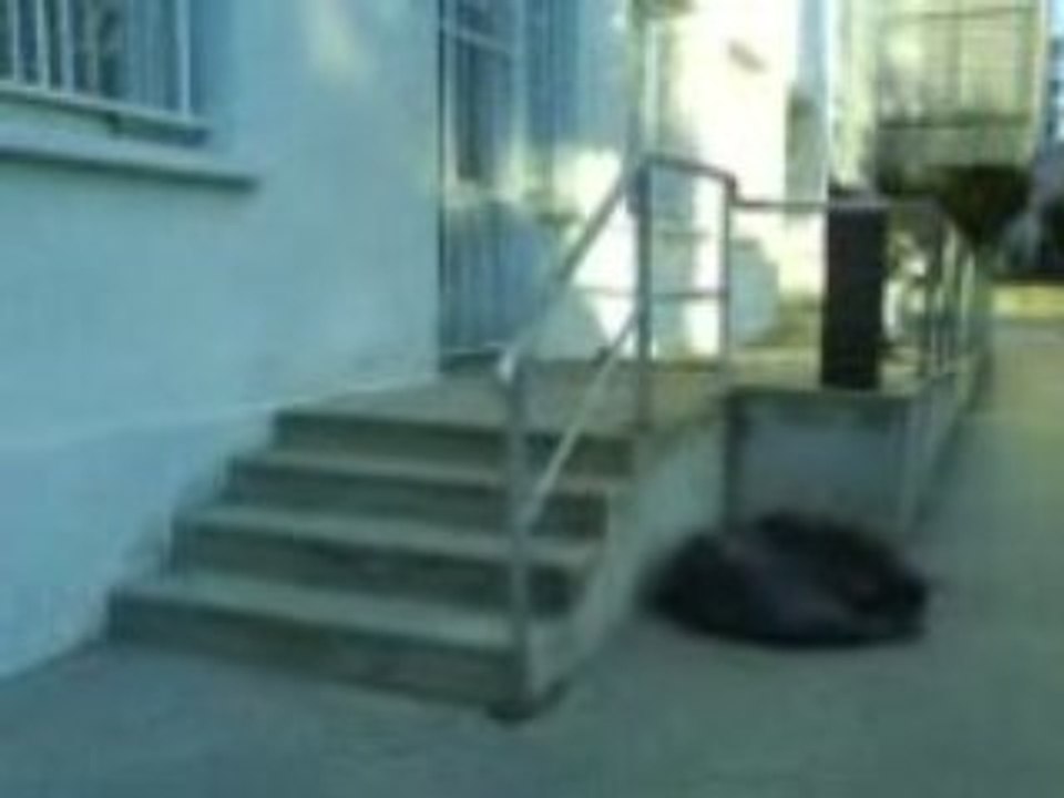 moi sur 4 marches en ollie skate