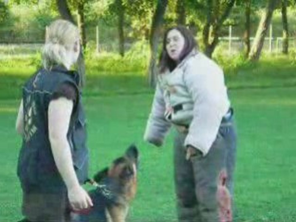 Les débuts de Scott en ring