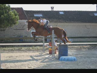 Qoeur de Brenne