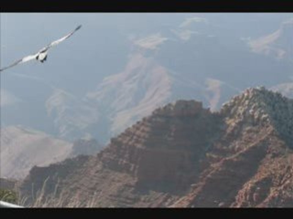 GRAND CANYON
