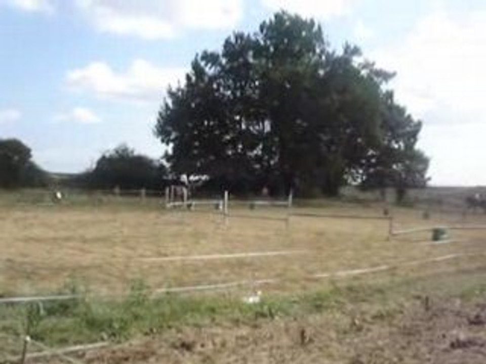 Portes ouvertes du 31 août à la ferme equestre de bel air