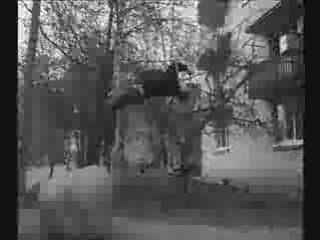 Любовь и паркур