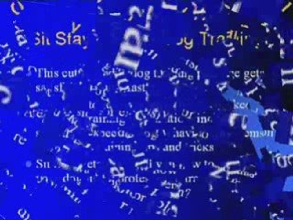 Dog Training - Dog House Training - Dog Training Los Angeles