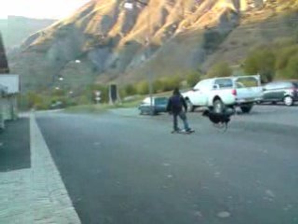V111008_18.28