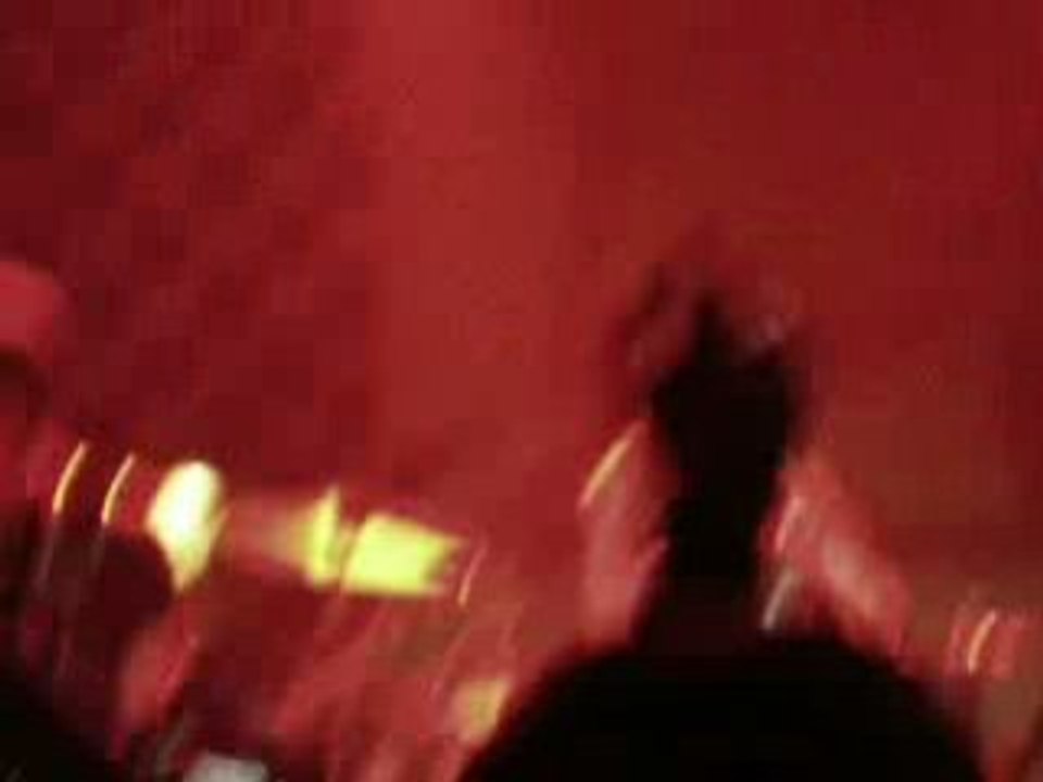 Killerpilze au docks