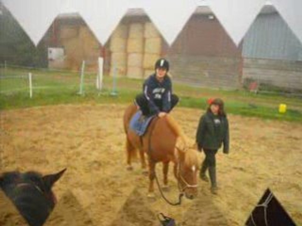 Défi debout sur les poneys