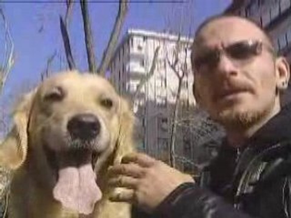 Bora Erbek/DOST-Star Tv Ana Haber