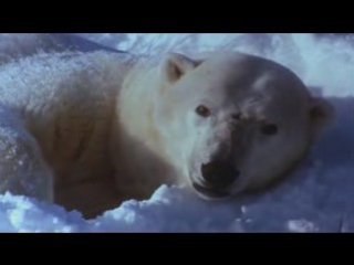 NOTRE MERE LA TERRE (PARTIE 12)  STEFGAMERS