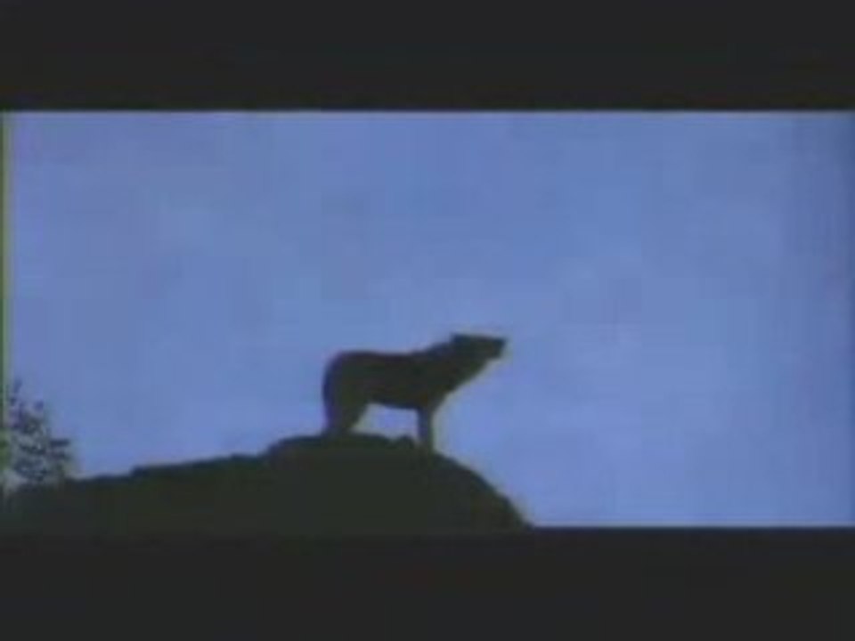 Rohff clip "la grande classe"