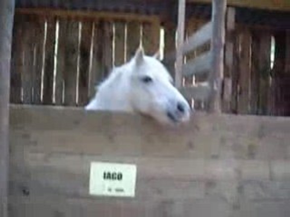 D3liire Av3c Philippine 3t 3t Jicky 3t M0ii