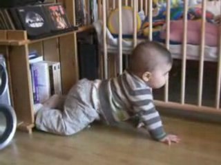 mon loulou a 4 pattes