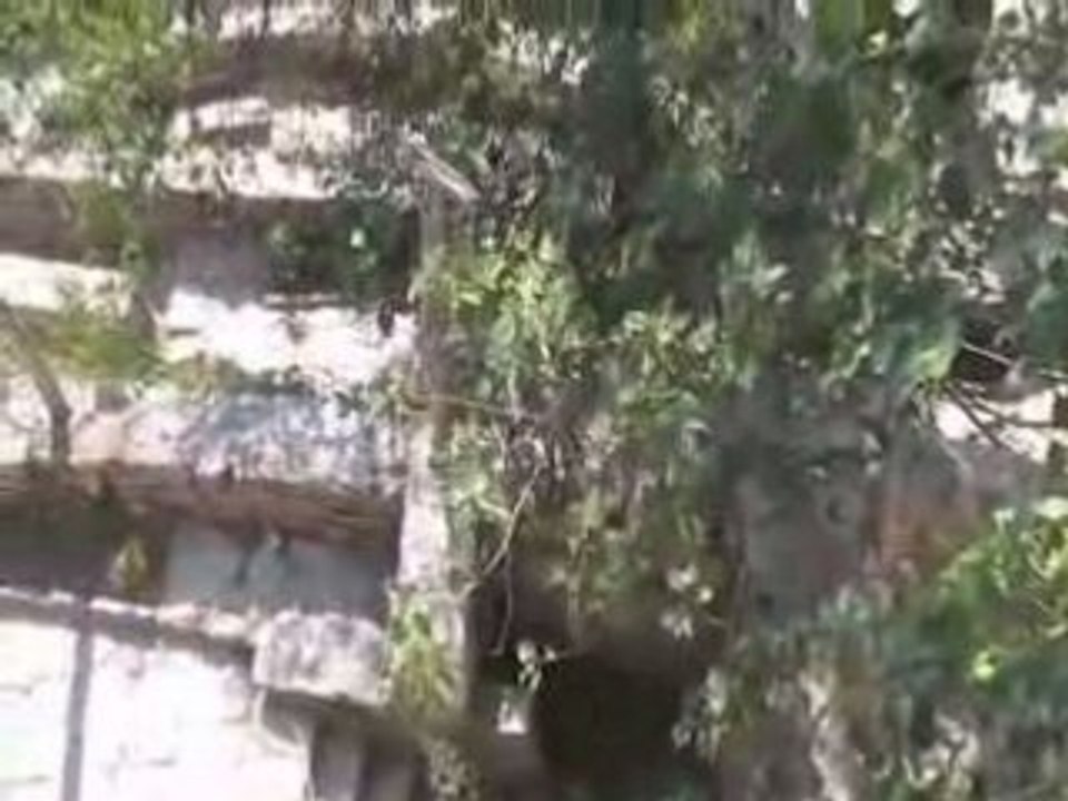 Balchik-Jardin Botanique (1)