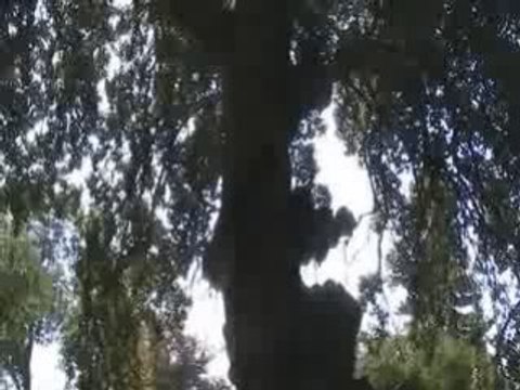 Balchik-Jardin Botanique (2)