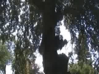 Balchik-Jardin Botanique (2)