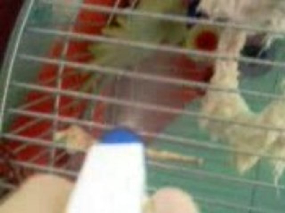 VIDEO_003